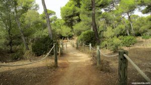 Camino Cala Macarella en Menorca