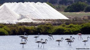Parque Natural de Ses Salines