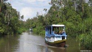 Klotoks en el río Sekonyer