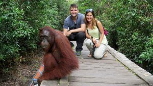 Tanjung Puting Orangutan Borneo
