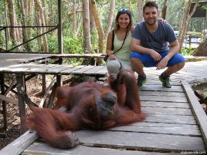 Es el orangután el que decide si le apetece dejarte pasar o no