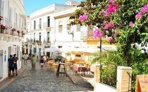Típica calle gaditana con flores