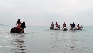 Paseo a caballo en Tarifa