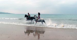 Paseo a caballo en las playas de Tarifa