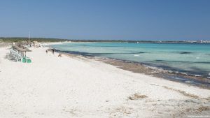 Playa de Es Trenc en Mallorca