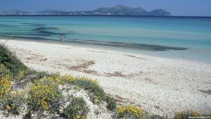 Playa de Muro en la isla de Mallorca
