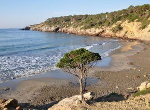 Playa desierta en Ibiza