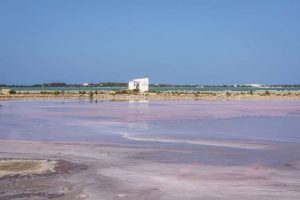 Los yacimientos salinos al oeste del puerto de La Savina son vestigios de la antigua producción de sal.