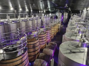 Bodegas de Regina Viarum