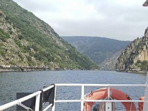 Catamarán por los cañones del río Sil en Ribeira Sacra