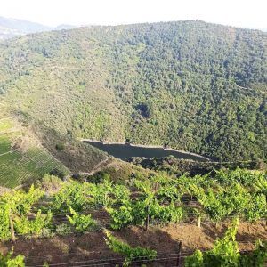 Valle de la Ribeira Sacra