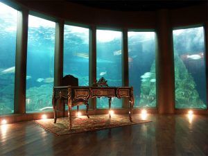 Sala Nautilus del Aquarium Finisterrae