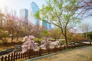 Parque Yeouido