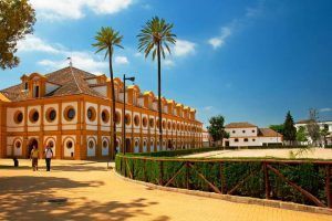 Real Escuela Andaluza de Equitación