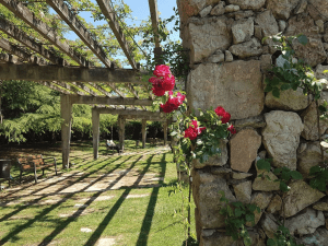 Parque de Cervantes y su rosaleda