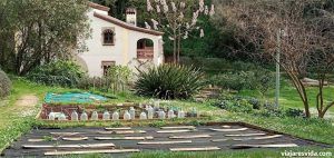 Jardí Botànic de Barcelona histórico