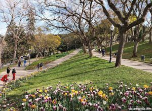 Jardines de Mossèn Cinto Verdaguer. Jardí Botànic de Barcelona