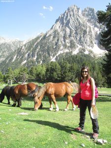 ¿Puede ver algo más bonito que un caballo?