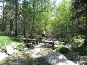 Parc Nacional d'Aigüestortes i Estany de Sant Maurici. Ruta senderista