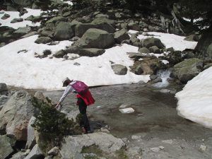 Dependiendo de la altura puedes encontrarte verde vegetación o nieve