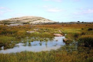 Parque Nacional Burren, algo que visitar en Irlanda
