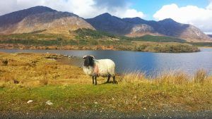 Parque Nacional de Connemara