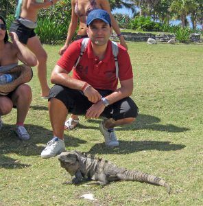 Iguana en Cozumel en Quintana Roo