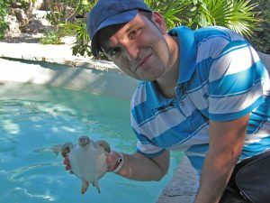 Tortuga bebé en Xcaret, Quintana Roo (México)