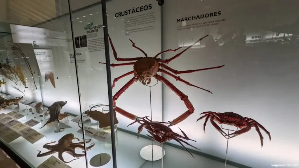 Museo de Naturaleza y Arqueología. MUNA.