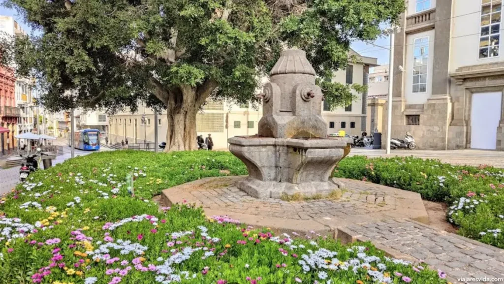 Plaza de Santo Domingo en Santa Cruz de Tenerife