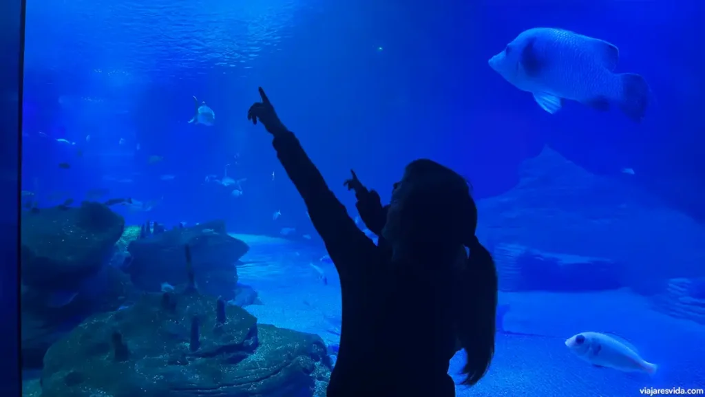 Oceanogràfic València